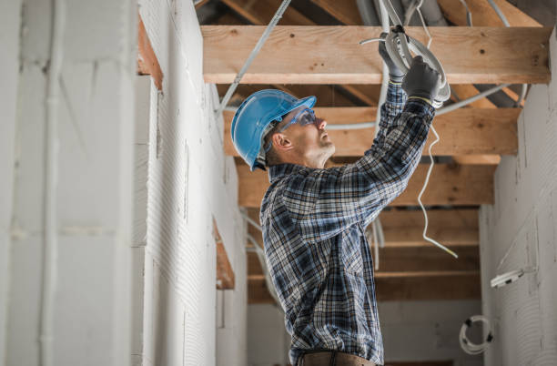 Best Licensed Electrician  in Capac, MI
