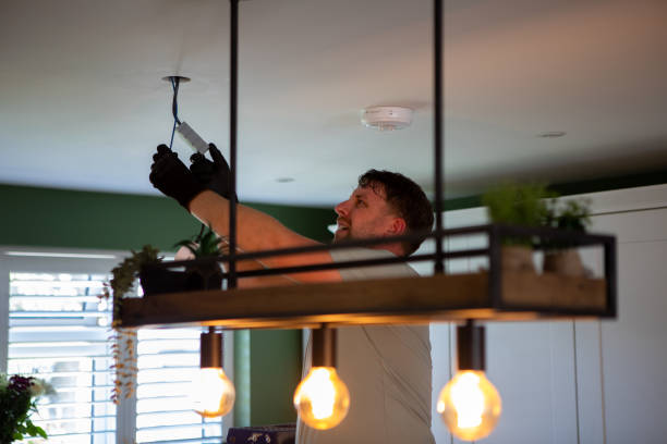 Best Electric Panel Repair  in Capac, MI