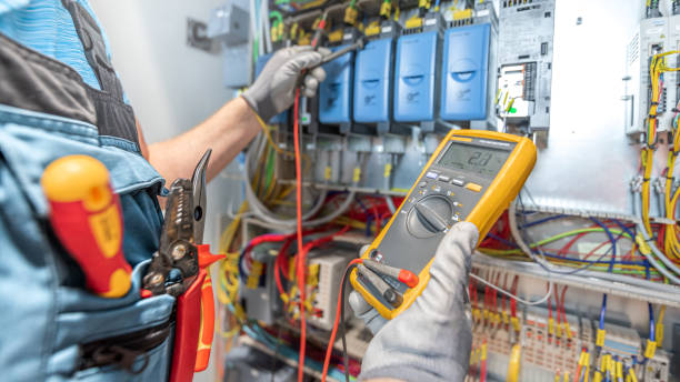 Best Electrician for Home Renovation  in Capac, MI